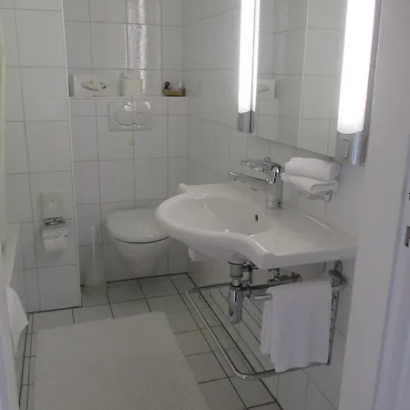 Otel Arcadia Ascona